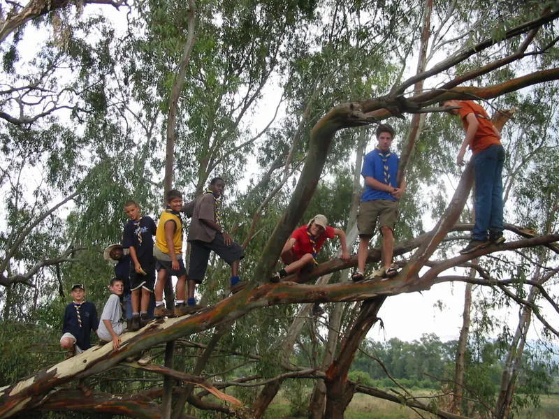 Troop Camp 2004, photo 11
