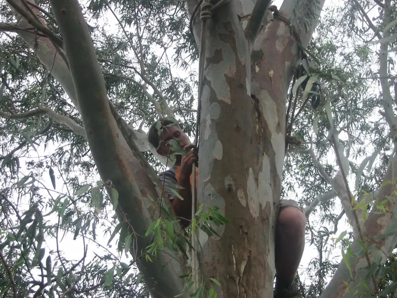 Troop Camp 2004, photo 23