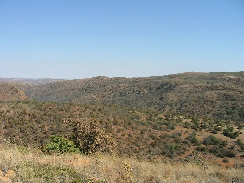 Troop Hike 2004, photo 10