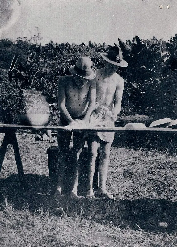 Heritage Album, photo 21
