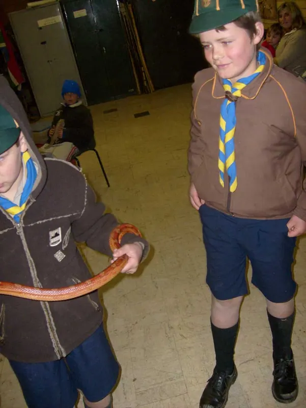 Cub's Reptile Evening, photo 6