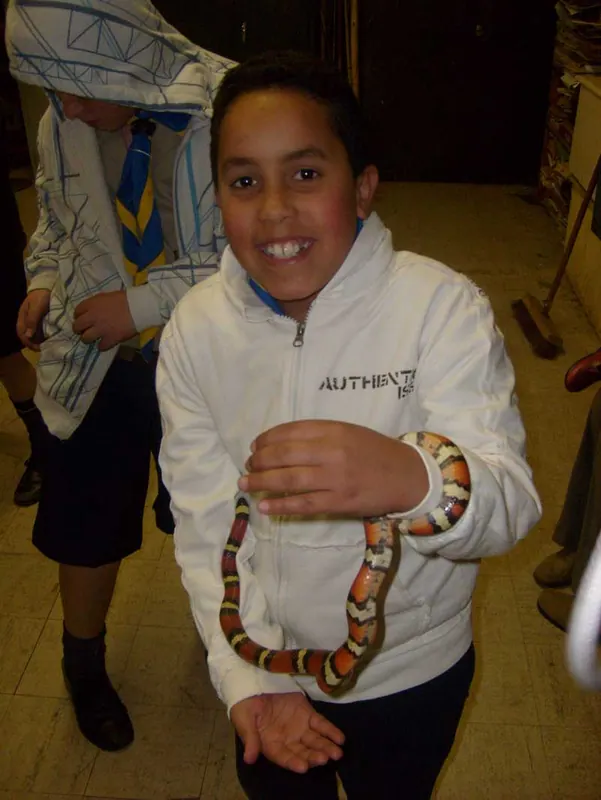 Cub's Reptile Evening, photo 15