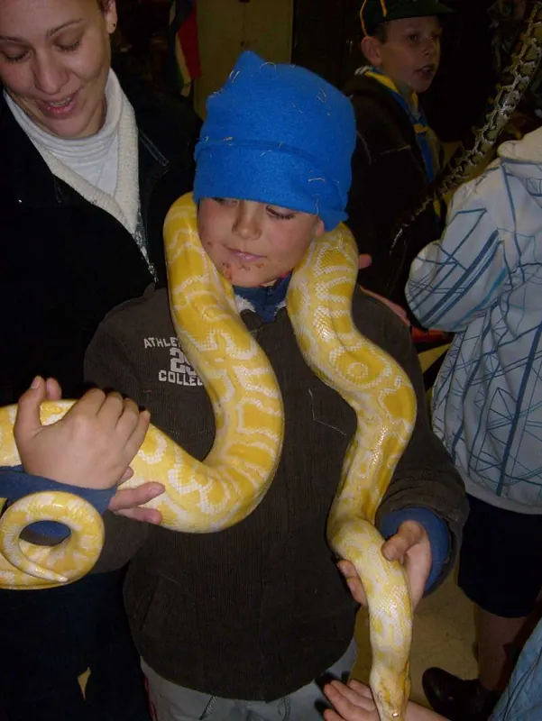 Cub's Reptile Evening, photo 27