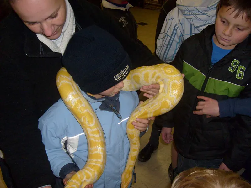 Cub's Reptile Evening, photo 29
