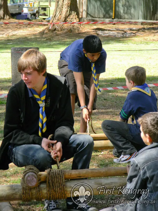 Tyron's Springbok Construction Project, photo 12