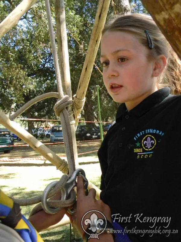 Tyron's Springbok Construction Project, photo 49