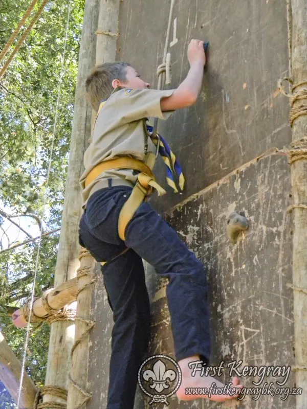 Tyron's Springbok Construction Project, photo 51