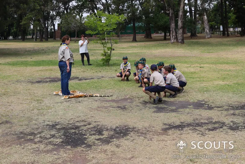 Cub Camp 2016, photo 30