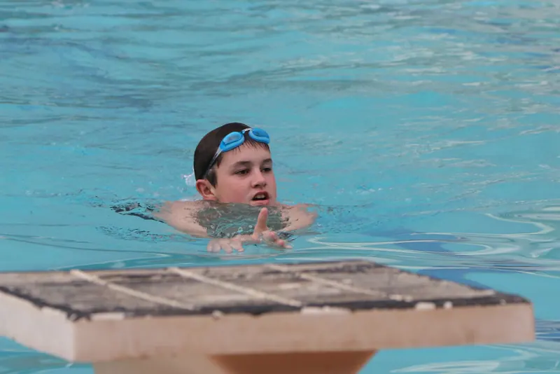 Swimming Badges 2017, photo 1