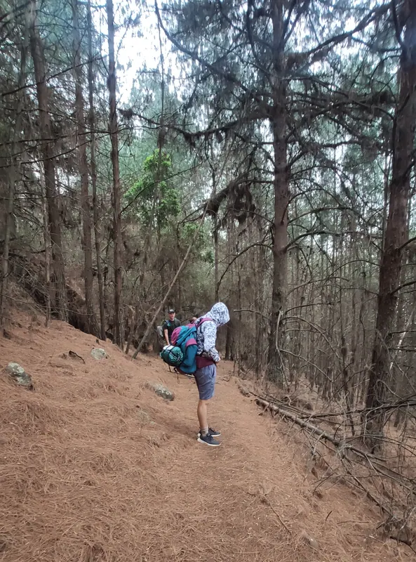 Luke's Springbok Activities, photo 7