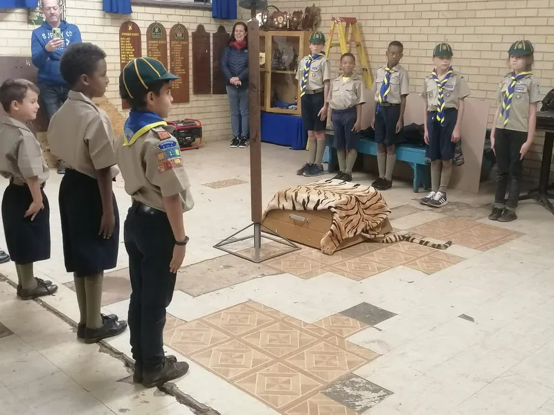 Cub investitures, photo 1