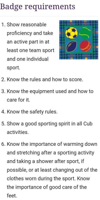 Cubs working on their Sportsman Interest Badges, photo 4