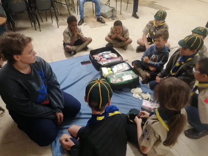 First aid for cubs, part 2, photo 2
