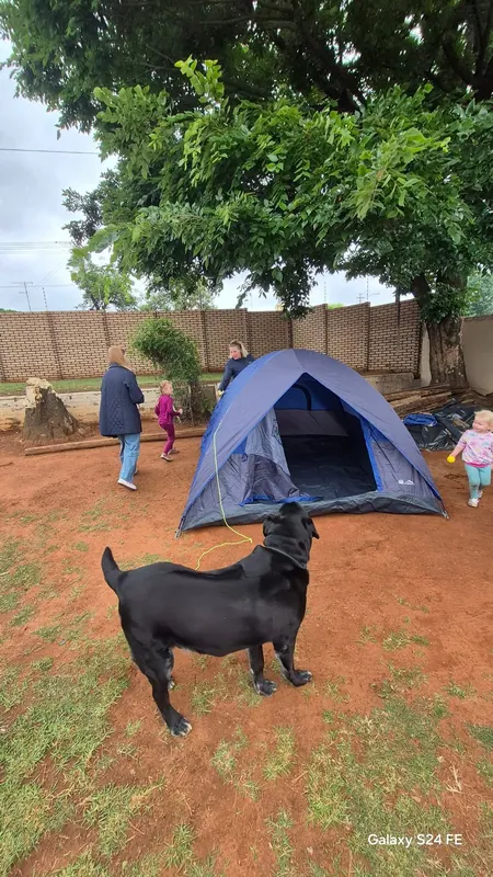 Meerkat Denboree 2025: a successful day, photo 6
