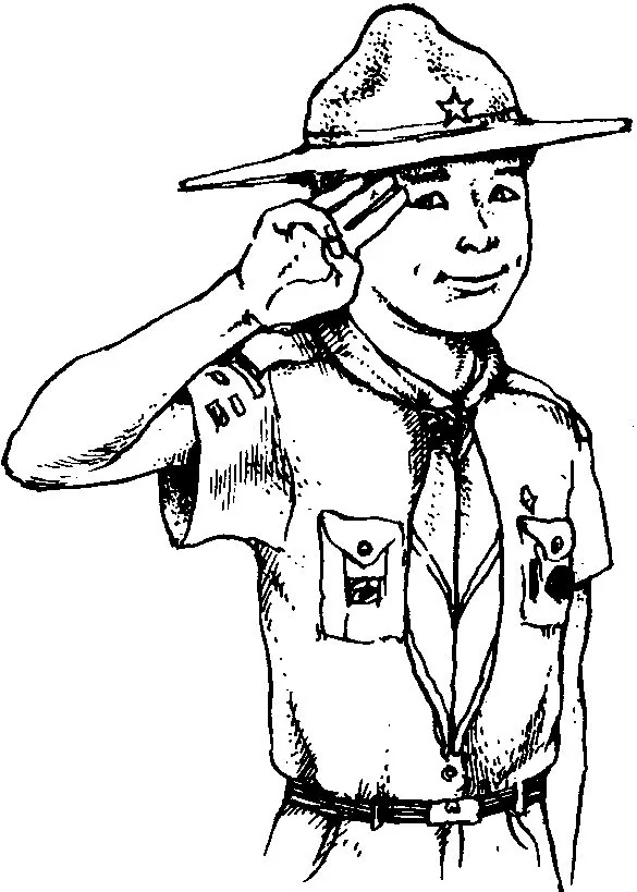 The Scout salute