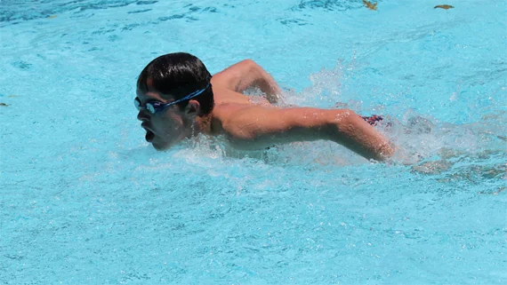BP Sunday and Swimming Gala 2019